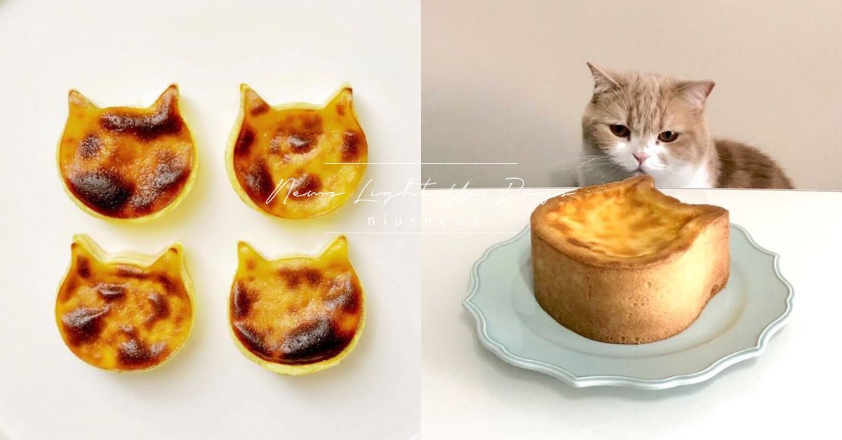 貓奴必吃起司蛋糕！NEKO NEKO CHEESECAKE降落台灣，北中南巡迴 NEKO NEKO CHEESECAKE、NEKO NEKO SHOKUPAN、貓咪起司塔、經典貓起司蛋糕、布里貓起司蛋糕、起司塔、Brie de Meaux