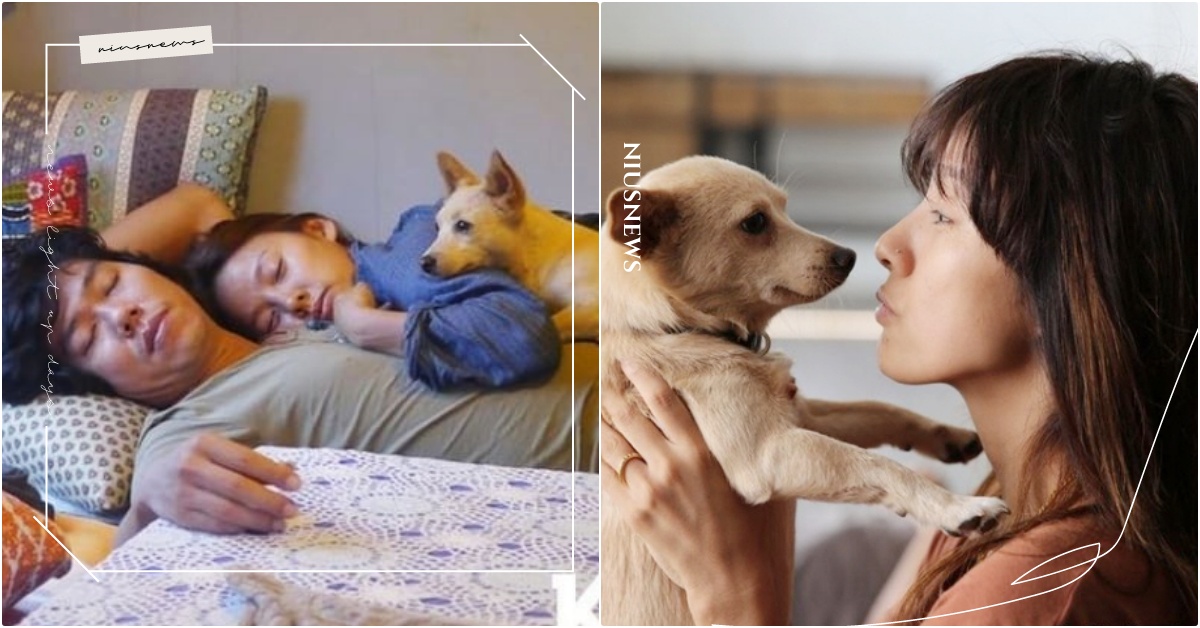 李孝利暫別演藝圈5個月後！與老公李尚順「超甜日常曝光」，救助7隻浪浪善舉公開 李孝利、李孝利暫別演藝圈、李孝利引退、李尚順、《玩什麼好呢？》、退貨遠征隊、李孝利濟州島、韓星流浪犬