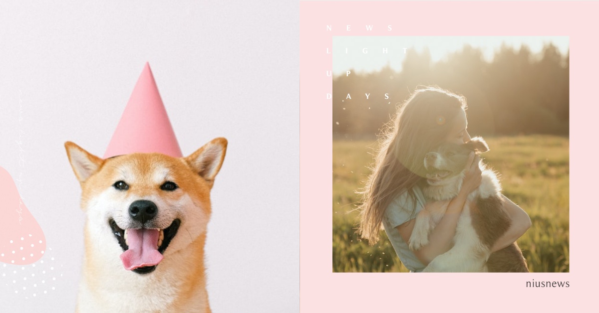 毛小孩也有12星座？「射手」天生愛流浪、「巨蟹」暖心重家庭，性格出生就決定好啦！ 可愛動物、寵物知識、寵物、毛小孩、狗狗、貓咪、汪星人、喵星人、星座、12星座、個性、性格