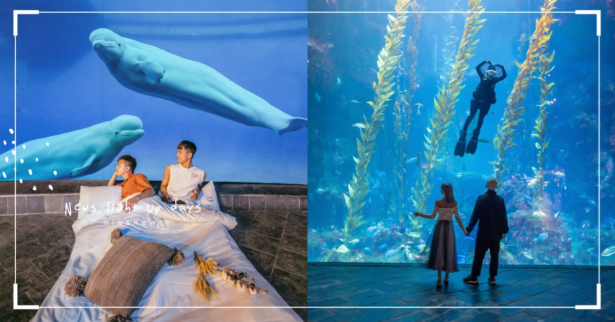 屏東海生館「網美攝影夜宿體驗營」！網紅開課教拍照，與男友來一段不一樣的520吧 屏東海生館、網美攝影夜宿體驗營、IG紅什麼？網美夜宿體驗營、阿樂YGT、夜宿海生館、網美拍照、打卡熱點、屏東景點、海藻森林、海洋隧道