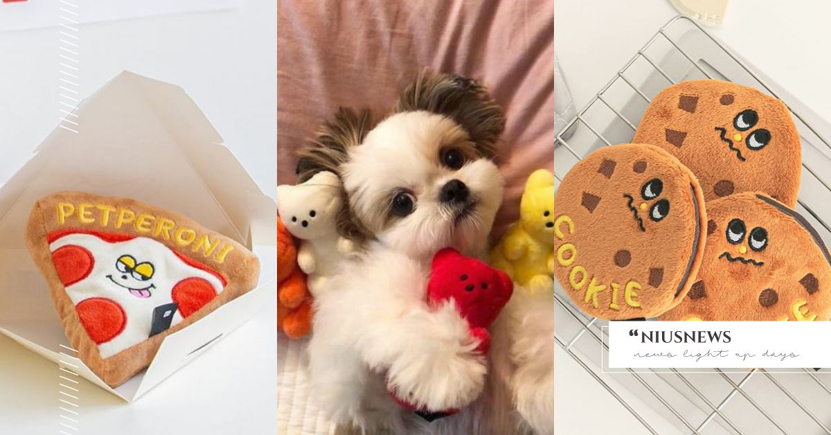 狗狗「藏食玩具」推薦！韓國寵物品牌「BITE ME」推美食系列，小熊軟糖超吸睛！ 可愛動物、寵物選品、寵物、毛小孩、狗狗