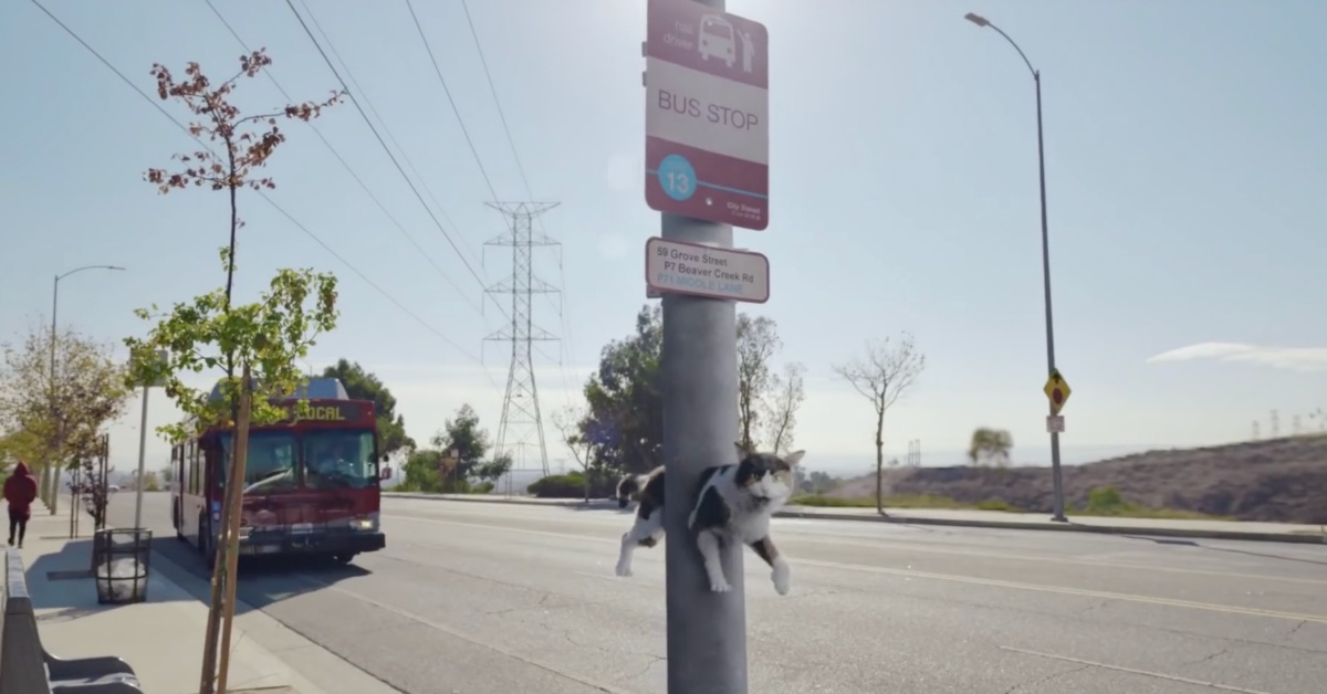 拜託別再lag，網路快點動起來！ 美國、verizon、5G、生氣