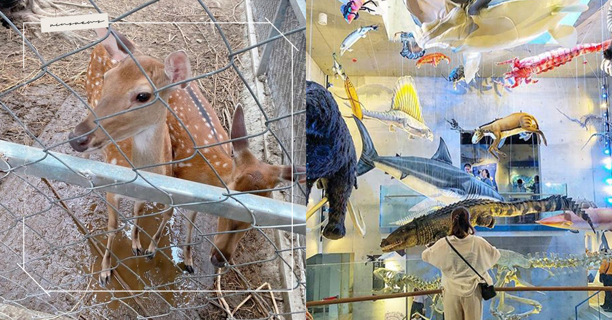 台南10大親子景點推薦！化石園區、河樂廣場、貨櫃公園、樹谷農場開心到不想回家！ 台南旅遊、台南旅遊懶人包、台南親子景點、尖山埤江南渡假村、魚擬共舞路亞休閒釣魚池