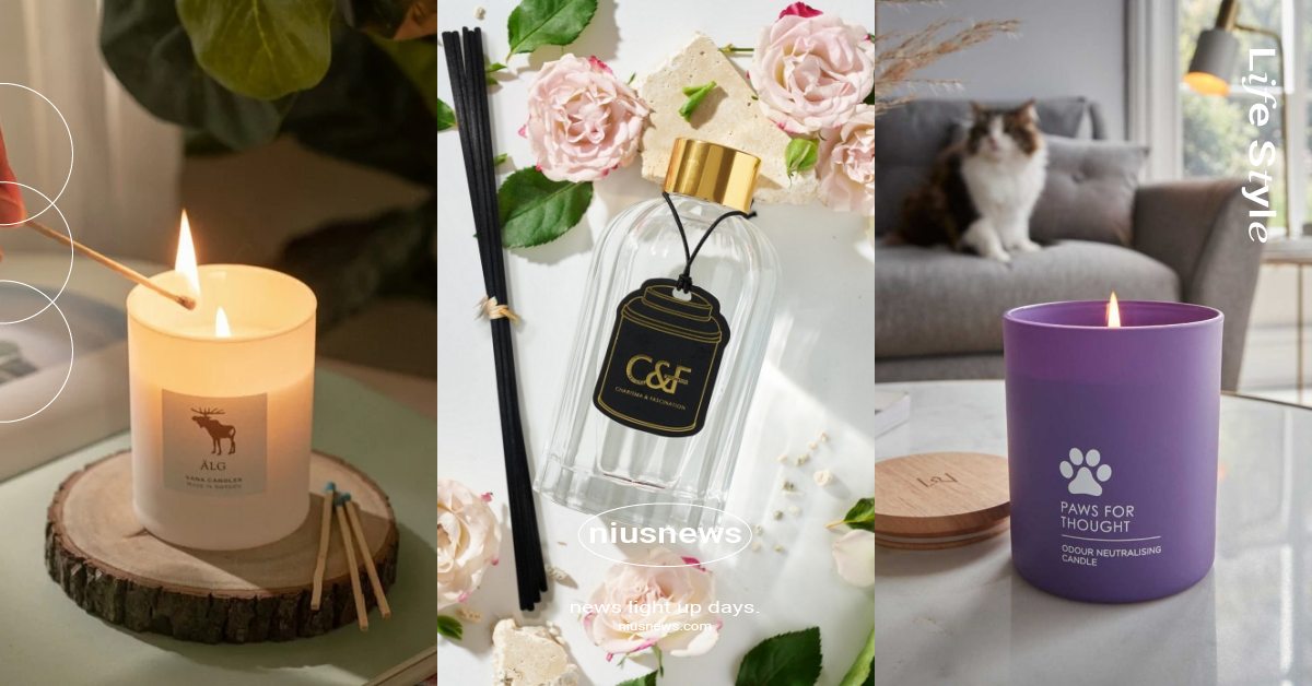 「寵物友善香氛」10款推薦！經典茶香聞過回不去、無毒無酒精添加讓毛孩超安心！ 居家生活、寵物擴香、寵物精油、天然成分、貓咪精油、狗狗香氛、居家防疫、HANSCHIU、FLAVOUR、Maomi 毛米、四點二十實驗室、LOVSPA、寵物居家、寵物香氛