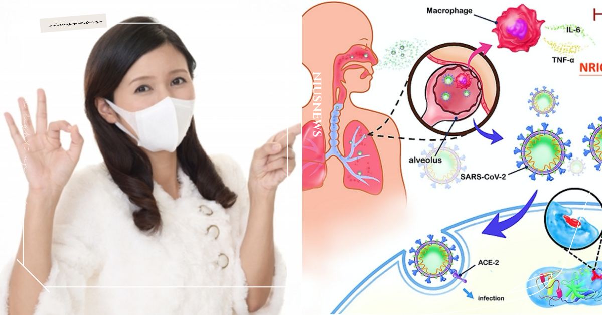 新冠疫苗未普及、缺新藥治療，中藥「清冠一號」有解？ 清冠一號、疫情、武漢肺炎、新冠肺炎、中藥