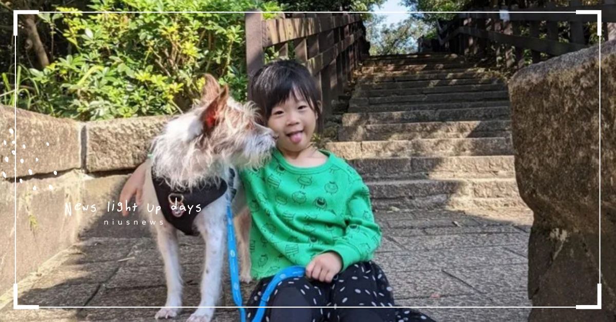 愛摸但又怕！小孩和寵物的5個相處之道 媽媽妞、親子妞、孩子、教育、寵物、毛小孩、相處、學習、育兒教養