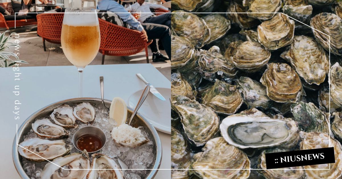 防疫要有「鋅」吃出免疫力？「這些海鮮」含鋅豐富，記得加進採買清單 新冠肺炎、疫情、防疫期間、免疫力、牡蠣、蚵仔、生蠔、鋅