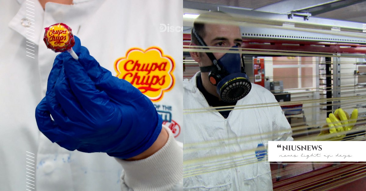 奇怪的知識增加了！琴弦是牛腸做的、棒棒糖是達利的設計？5大令人意外的生活TMI Discovery、生活科技大解密、倫敦、災難性停電、雪梨歌劇院、古典豎琴的琴弦、棒棒糖、達利、節目、紀錄片