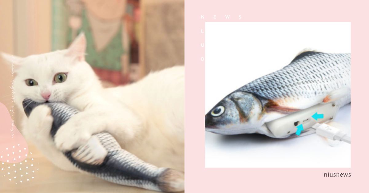 韓國獵奇逗貓玩具推薦！喵主子超愛活蹦亂跳的「鮮魚」，包裝還用保鮮膜超擬真！ 可愛動物、寵物、毛小孩、寵物選品、貓咪