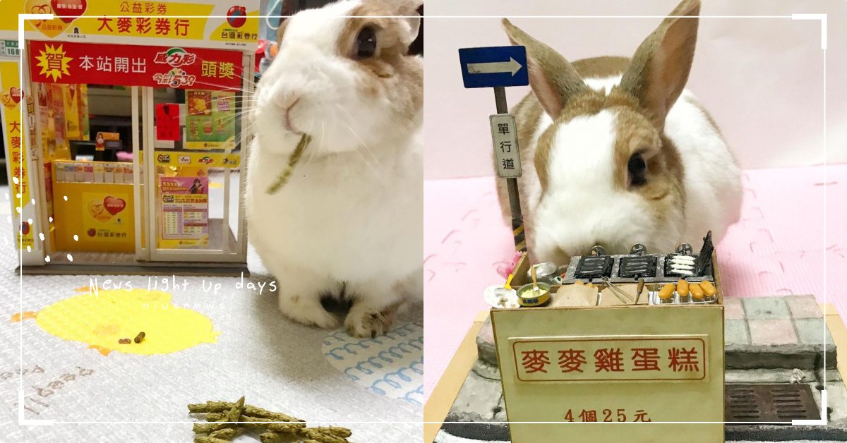 人稱「兔兔大老闆」！麥麥集團從刮刮樂賣到雞蛋糕，網友驚呼：飼主這個職業太強大！ 可愛寵物、寵物趣聞、兔子、可愛兔兔、日本、萌寵、網紅、寵物、可愛寵物