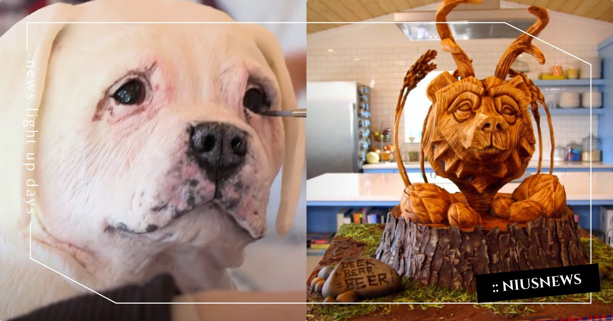 超擬真「翻糖蛋糕」原來這樣做！香草狗狗蛋糕栩栩如生，網友：腫麼捨得切下去！ 翻糖蛋糕、寵物蛋糕、生日蛋糕、烘焙、啤酒蛋糕、TLC旅遊生活頻道、《德州蛋糕屋》、電視節目、爆米花小姐