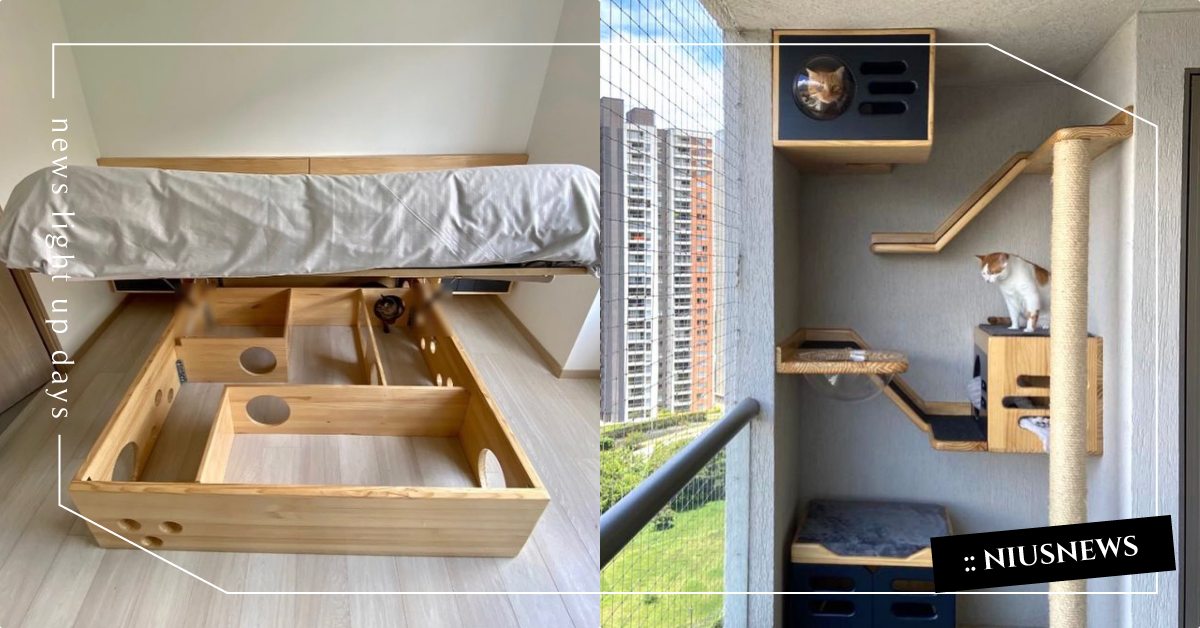 根本是床底遊樂園！奴才專用「貓密道掀床」超吸睛，利用空間又讓貓貓有地方玩！ 貓咪裝潢、寵物友善空間、寵物友善、人貓共居、寵物