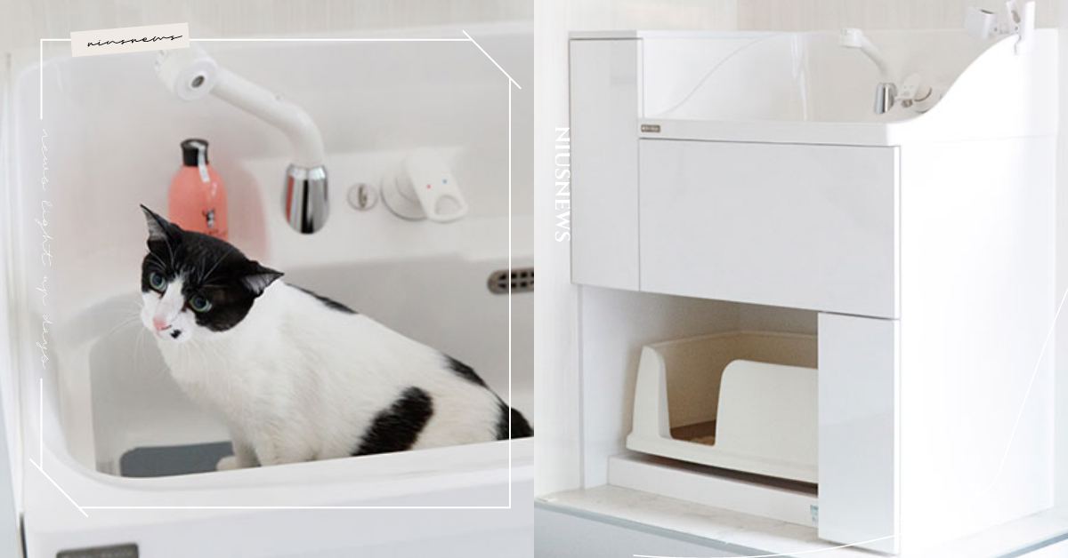 日本推出貓咪「獨立衛浴設備」！首創定時沖洗馬桶功能，成功解決傳統貓砂盆異味問題！ 可愛動物、寵物、毛小孩、喵星人、喵主子、貓咪、高級、衛浴設備、貓砂、貓砂盆、淋浴間、廁所、日本、大和房地產、精緻