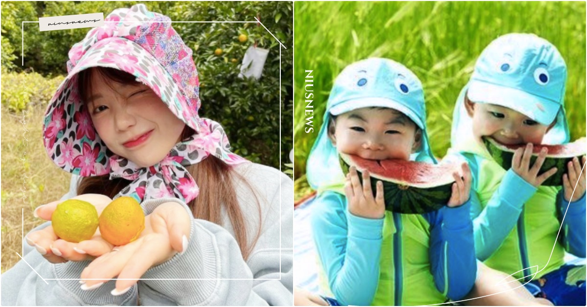 5秒內測出真實性格！韓網「水果心理測驗」IG瘋傳，結滿果實的大樹你會挑哪一顆？ 韓國心理測驗、測個性、2021心測、人格特質、價值觀、水果心理測驗、韓網心測、個性測驗、IG心理測驗