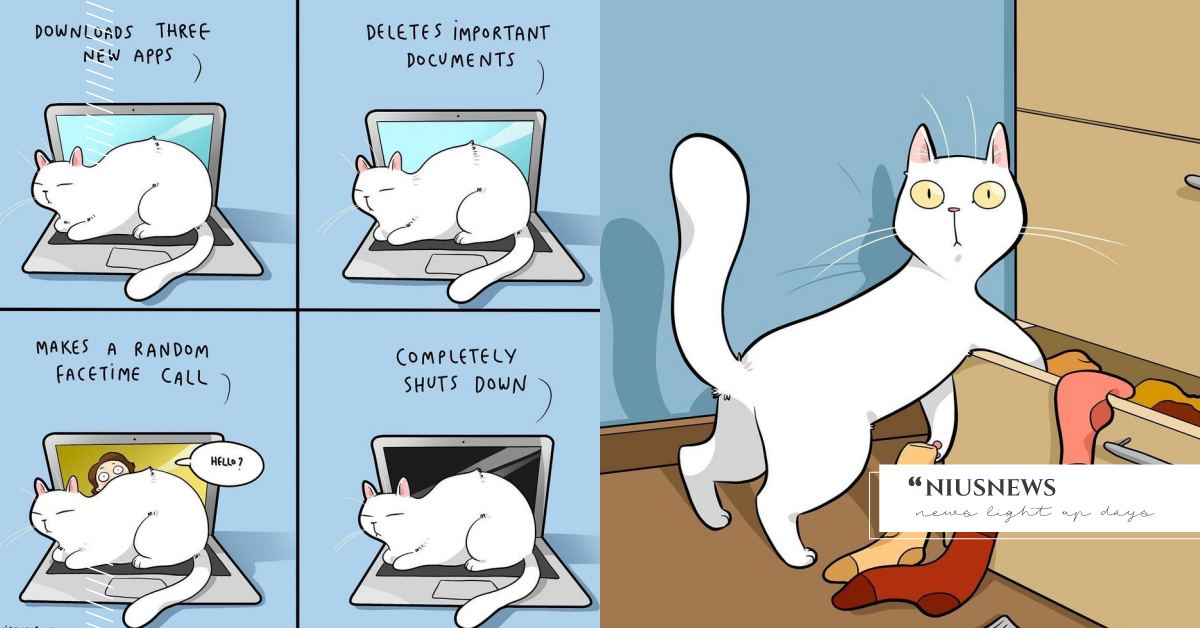 奴才將心內話寄託插畫中！亂按鍵盤又愛霸佔枕頭，網友：「原來每家主子都是一個樣！」 可愛動物、寵物、毛小孩、喵星人、貓咪、習性、奴才、主子、插畫