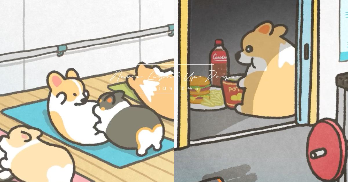 擺脫疫情胖，跟著「柯基教練」動茲動！影片示範健身菜單，親授在哪裡跌到就在那躺下！ 可愛動物、寵物、毛小孩、日本、動畫