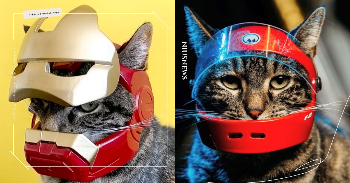 「鋼鐵喵」準備拯救全世界！法國鏟屎官神還原英雄角色頭盔，為主子設計極限運動安全帽 可愛動物、寵物、毛小孩、喵星人、貓咪