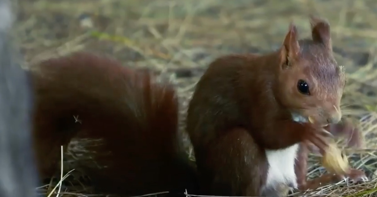 地球環境是需要我們大家共同愛護及維持的啊！ 法國、電商零售、環境保護、搞笑