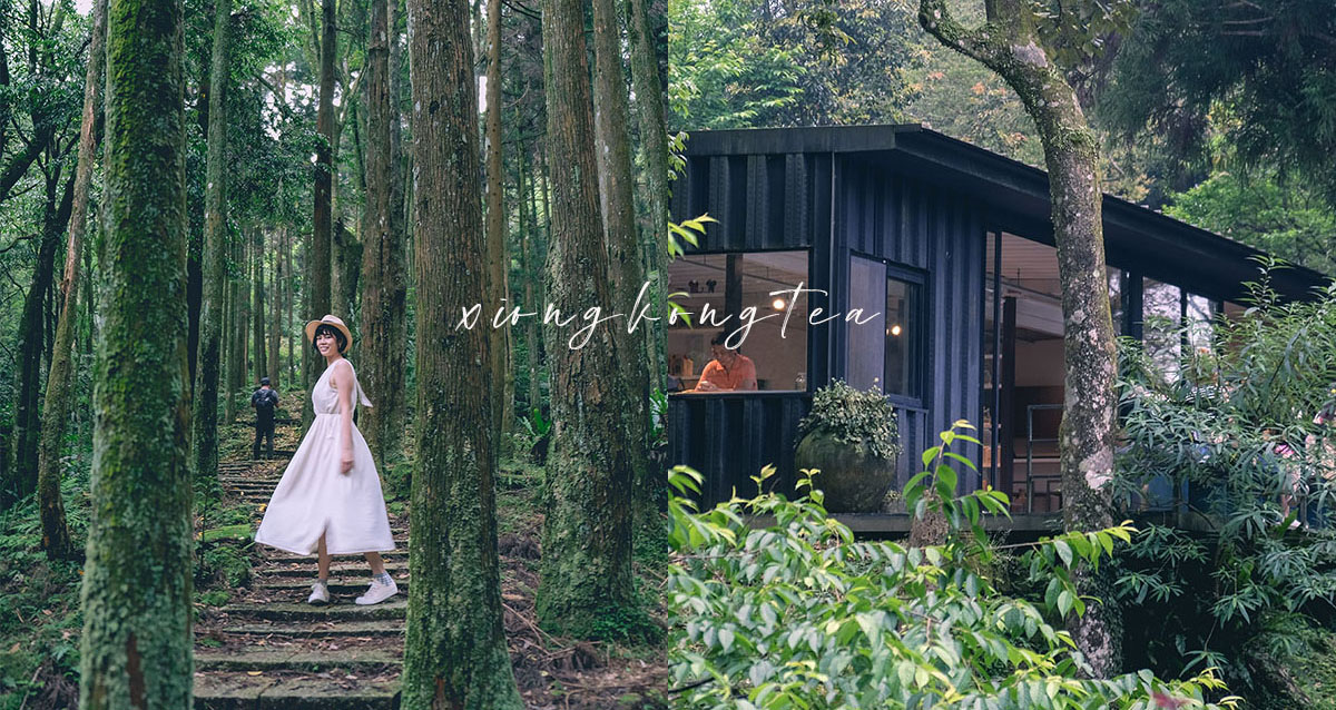 走進精靈森林，品茶、步道、絕美茶梯田，讓靈魂慢下來的私房秘境 台北景點、熊空茶園、森林系景點、台北秘境