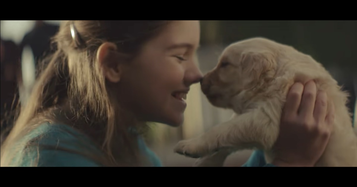 每個人生命中都需要這樣一個始終陪伴在你身邊的忠誠好友 加拿大、Chevrolet、汽車、溫馨