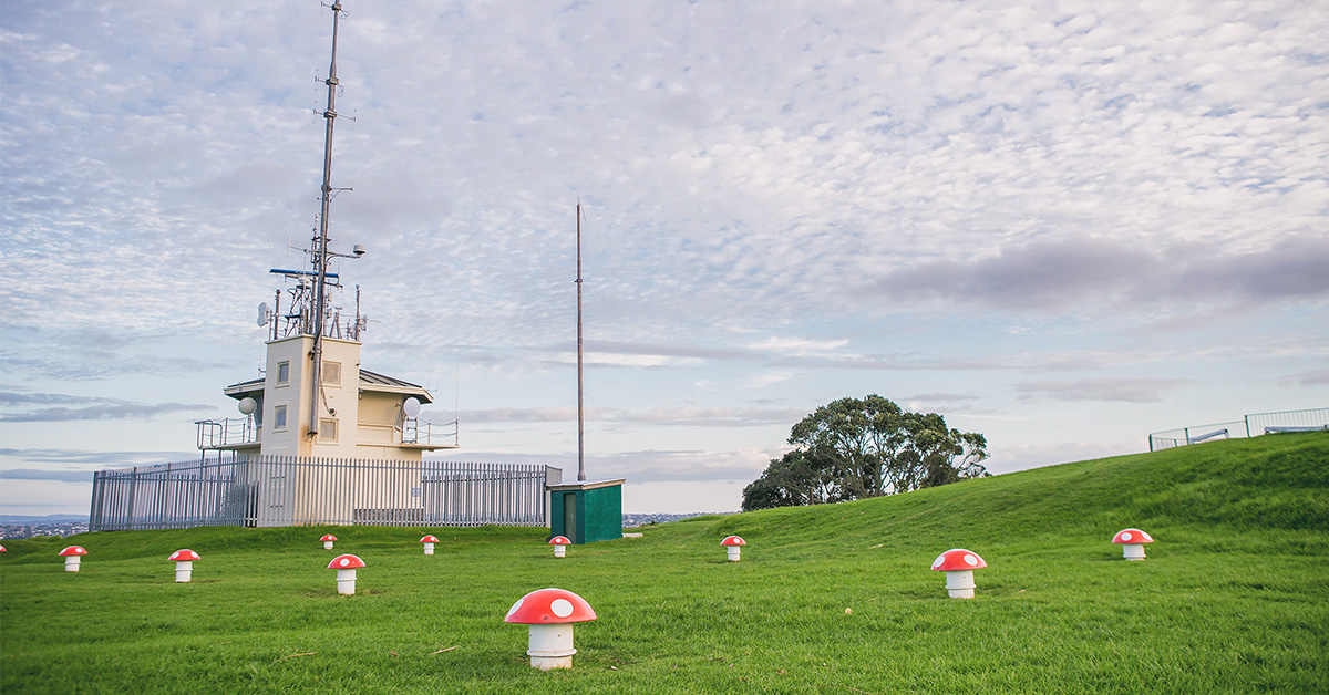 紐西蘭自由行 | 維多利亞山 Mt. Victoria 紐西蘭自由行、紐西蘭旅遊、紐西蘭自駕、奧克蘭、維多利亞山 Mt. Victoria