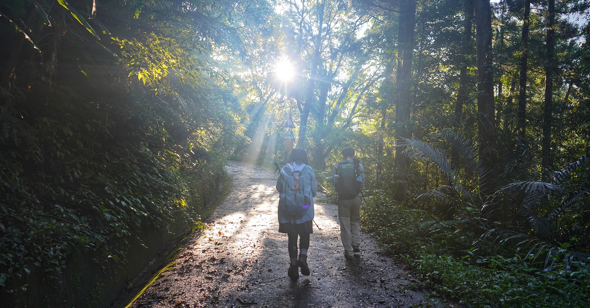 外鳥嘴山、鴛鴦谷瀑布｜新竹關西尖石景點秘境輕旅行 外鳥嘴山、水田林道、鴛鴦谷瀑布、馬武督錦山糯米橋、魔法女屋、金針花秘境、新竹尖石秘境、新竹尖石景觀餐廳、關西仙草、新竹關西尖石一日遊、新竹關西景點