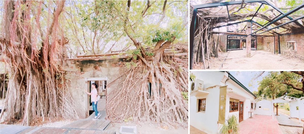 [台南安平]安平樹屋|朱玖瑩紀念館|英商德記洋行|銅板價文青IG美照拍不完 安平樹屋、朱玖瑩紀念館、英商德記洋行、台南景點