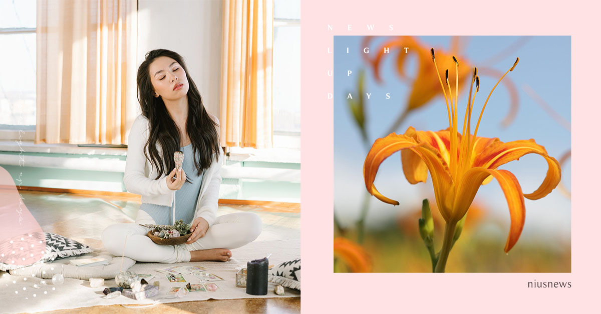 「金針」好處多！助眠解憂外還能補血消水腫，選購2重點＋「金針香菇雞湯」食譜快筆記 健康、身體、金針花、安神、憂鬱、煩躁、消水腫、養生