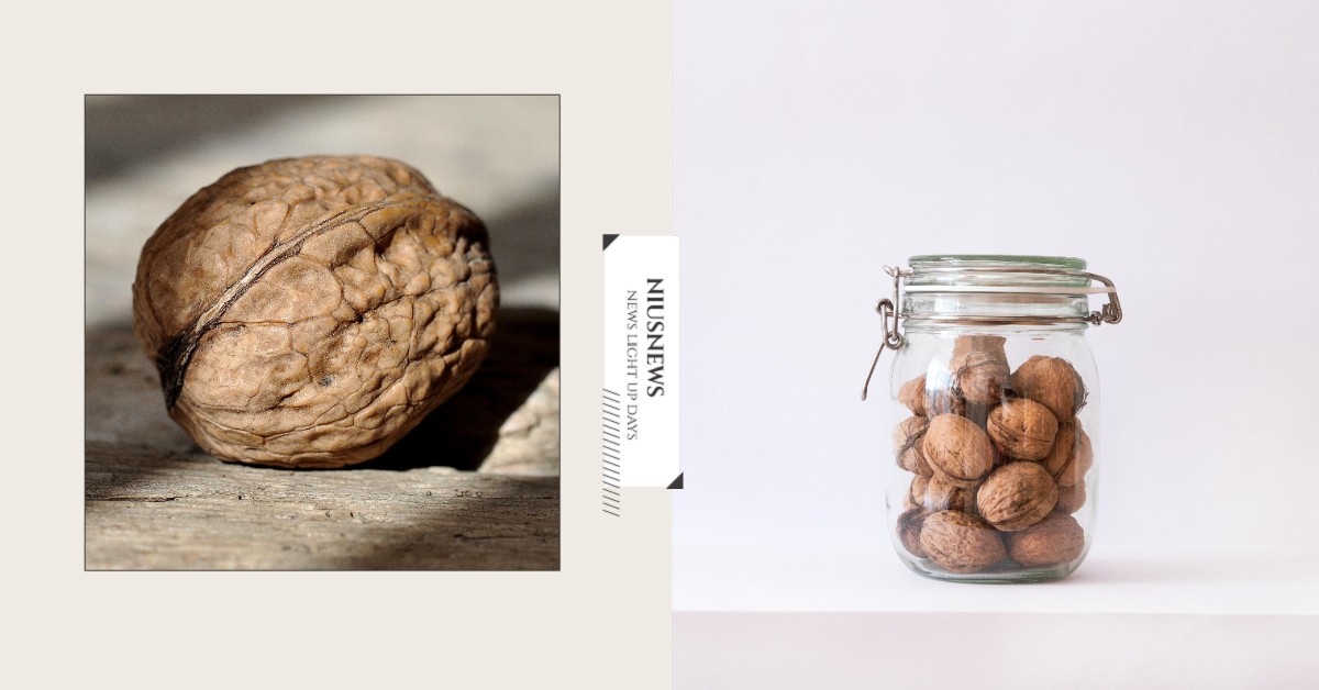 吃核桃哪裡好？西班牙研究：膽固醇降低、防止罹患心血管疾病 高血脂、心絞痛、腦中風、核桃、發炎