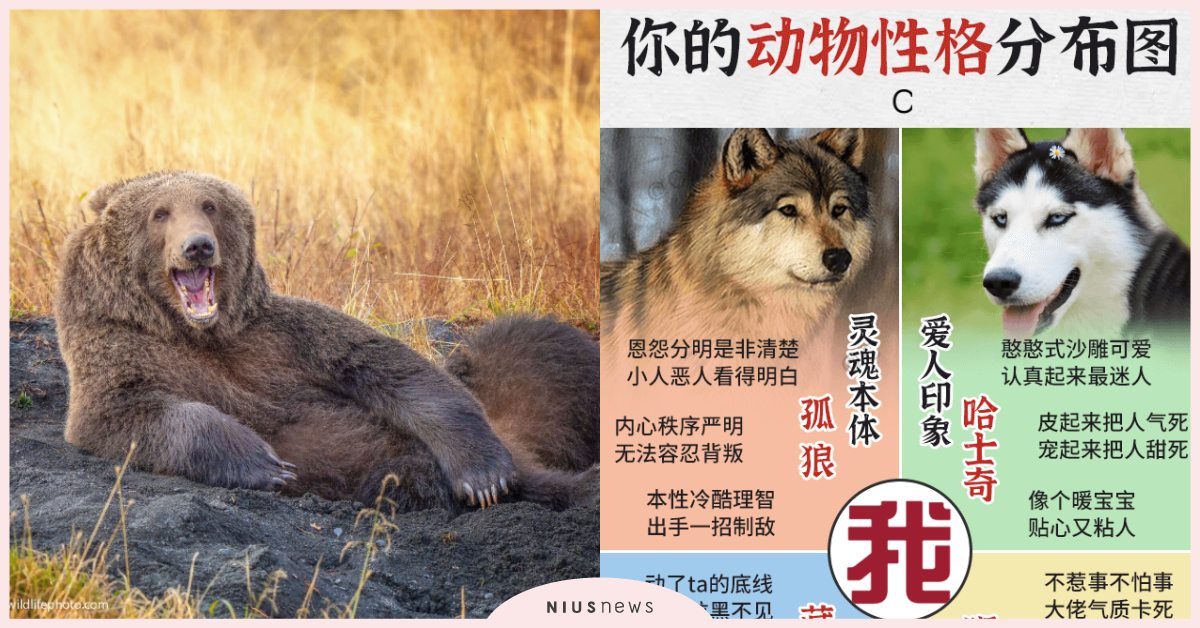 心理測驗「你的動物性格分佈圖」！30秒測出靈魂本體＆愛人印象，完全一針見血！ 寵物圈圈、寵物吃喝玩樂、動物、心理測驗、動物心理測驗