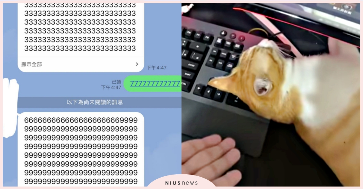 萌貓躺鍵盤狂傳「垃圾訊息」騷擾朋友，主人無奈曝「肇事影片」：不摸牠就搗蛋 寵物趣聞、臉書熱議、貓咪、橘貓、貓咪躺鍵盤、寵物、萌寵、貓奴、鏟屎官