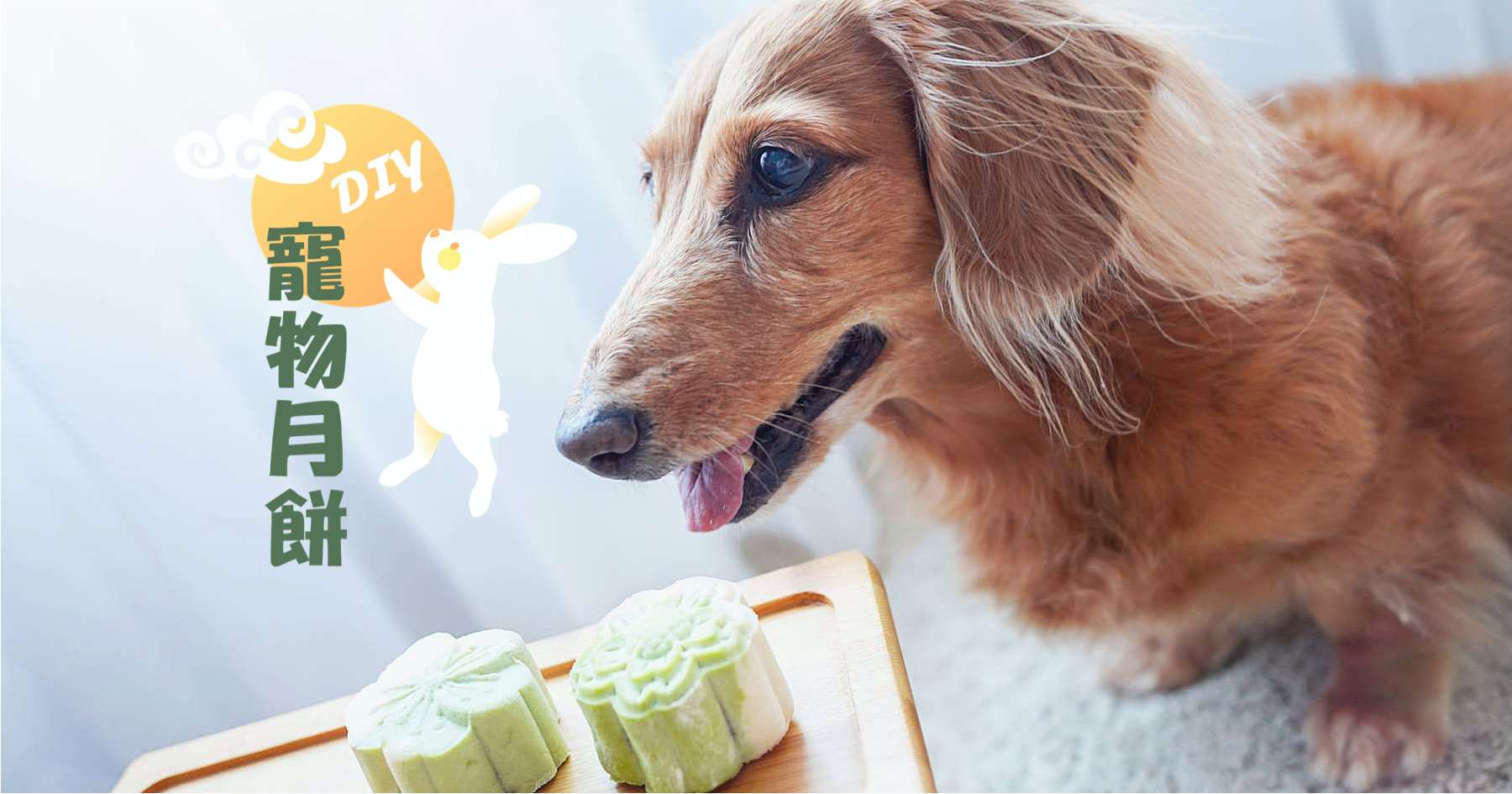 自製寵物月餅方法！動手做狗狗寵物月餅.一起和毛小孩過中秋！ 寵物月餅、狗狗鮮食、狗狗月餅