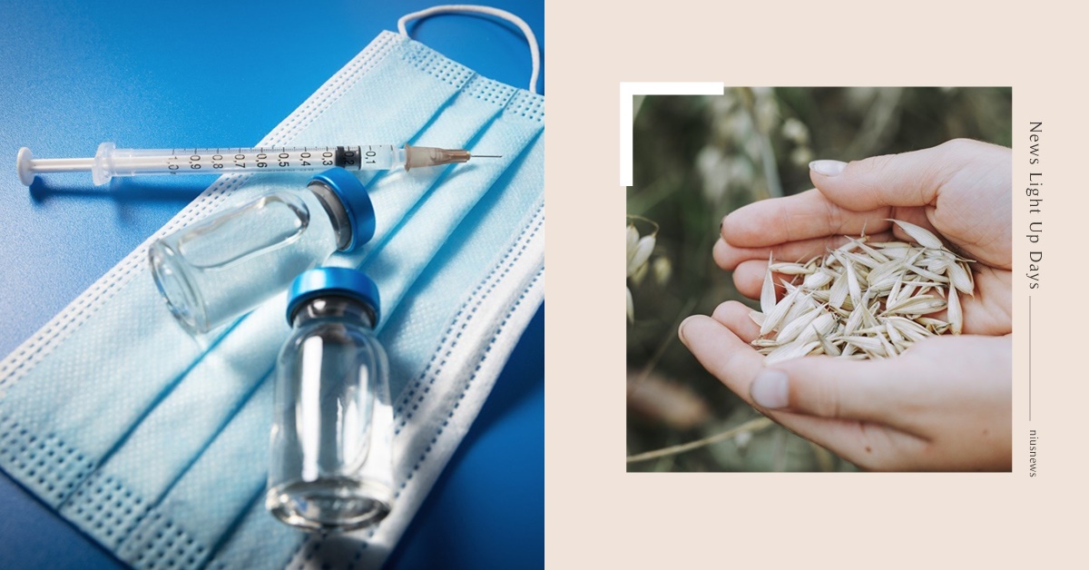 膽固醇過高怎麼辦？多攝取燕麥、綠葉蔬菜、堅果種子類食物、豆類4大飲食 膽固醇、飲食、降血脂、燕麥、針劑