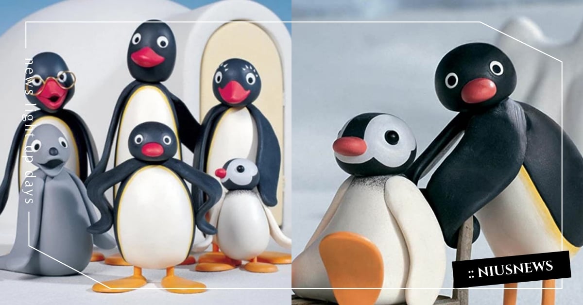 揭秘《Pingu》7個企鵝冷知識！「喜歡拉手風琴、常常孵蛋」由來大公開 pingu、企鵝家族、卡通、冷知識、企鵝