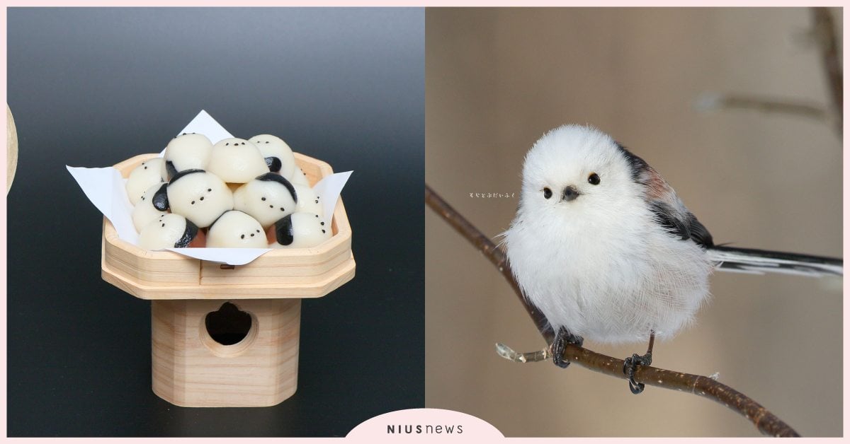 雪球般的「銀喉長尾山雀」！網稱「會飛的小麻糬」周邊都好好吃，不良少年飯糰好療癒！ 寵物圈圈、可愛寵物、動物、鳥、銀喉長尾山雀、寵物趣聞、可愛動物、動物