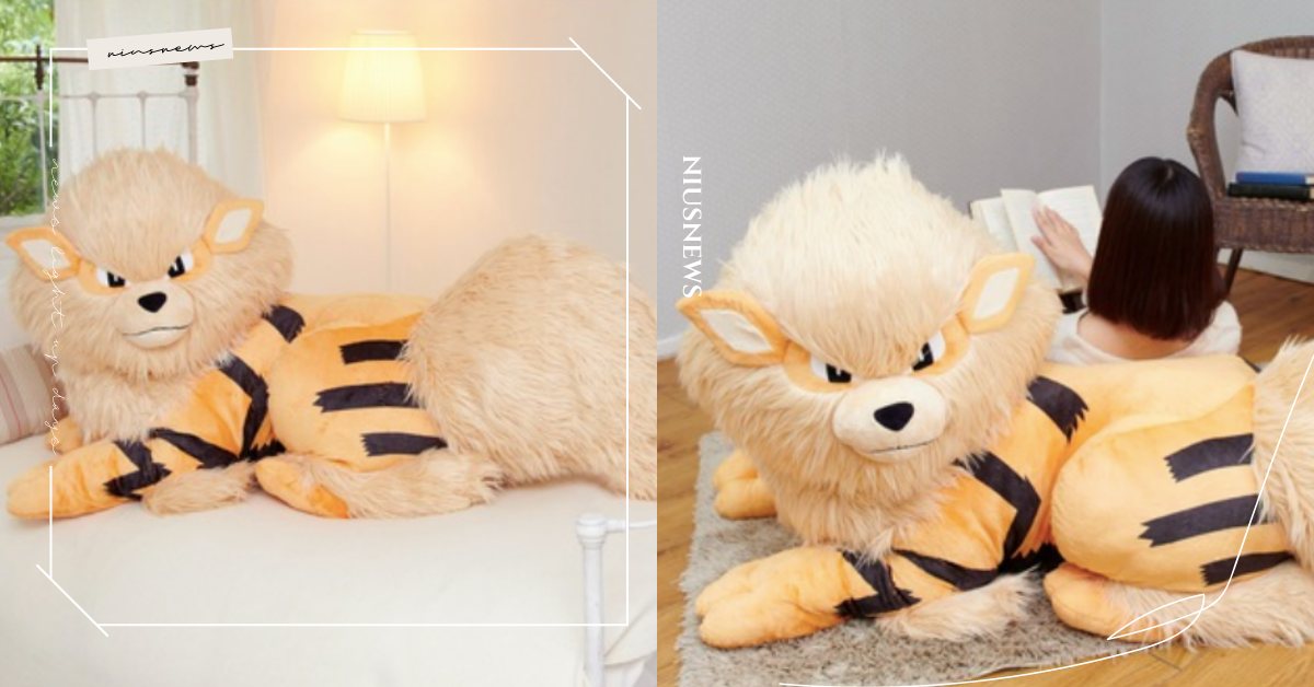 傳說寶可夢「風速狗」巨型玩偶帥氣推出！1.5公尺霸氣守護粉絲，能靠也可躺太療癒 精靈寶可夢、風速狗、寶可夢、日本、pokemon