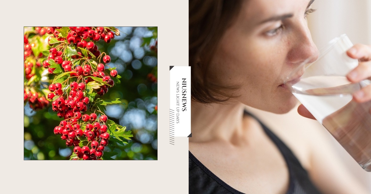 為什麼一直喝水還是口乾舌燥？中醫：「5大臟腑失調」這樣改善  喝水、喉嚨痛、山楂、口乾舌燥、烏梅