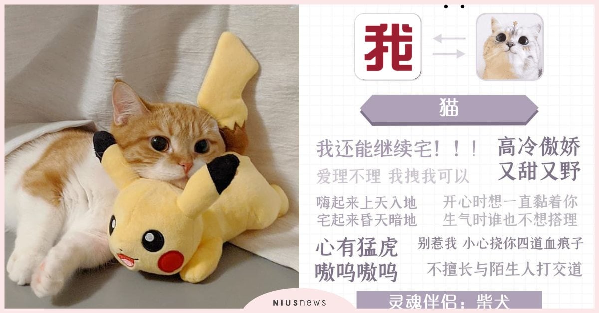 心理測驗「前世會是什麼動物」？30秒測出你的性格癖好，連靈魂伴侶都有配對建議！ 寵物圈圈、寵物吃喝玩樂、動物、心理測驗、動物心理測驗