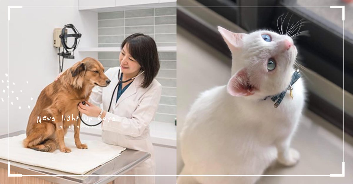  【2021最新】台北大安10間「4星動物醫院」推薦，毛主人評論綜合整理懶人包！ 動物醫院、寵物照顧、寵物美容、評價、寵物醫院