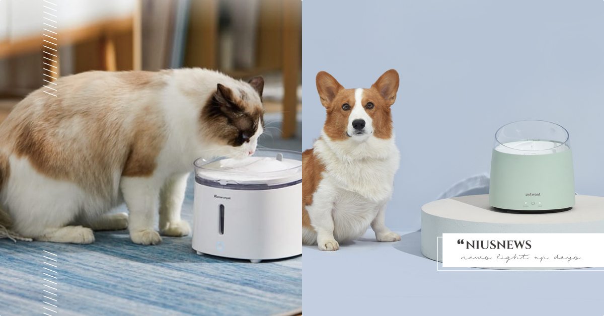 毛孩就是要喝新鮮的水！博客來「寵物飲水機」熱銷Top5，第一名毛主人絕不陌生！ 寵物圈圈、寵物選品、寵物吃喝玩樂、寵物飲水機、貓咪