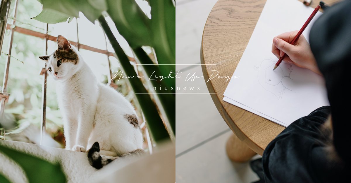 心理測驗「想把動物畫在哪」？30秒測出你的「守護神」是誰，財運＆人際都有詳解！ 寵物圈圈、寵物吃喝玩樂、動物、心理測驗、動物心理測驗