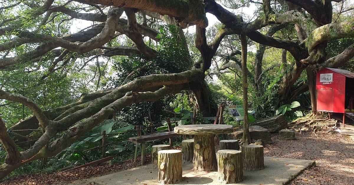 桃園龜山福源山步道｜百年大榕樹私房美食交通路線攻略 桃園龜山景點、福源山步道、百年大榕樹、福源山步道停車、福源山步道公車