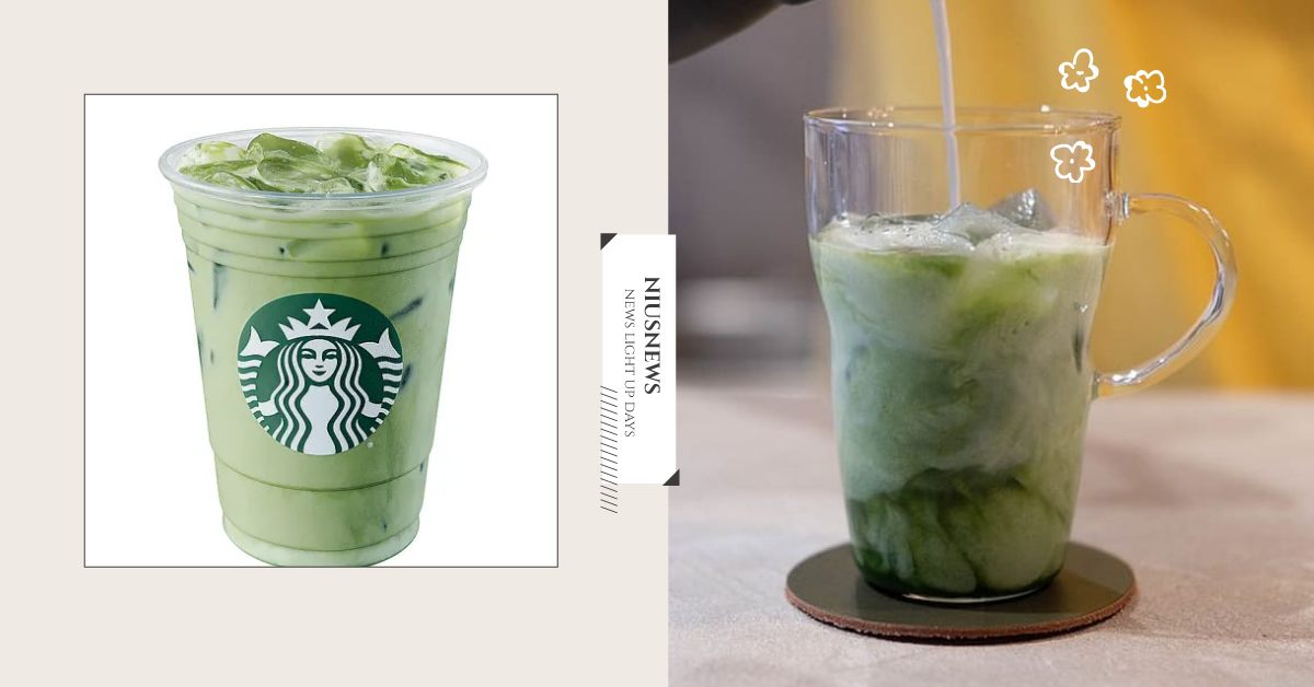 停賣不擔心！在家就能神還原「星巴克抹茶那堤」食譜，加碼6款人氣抹茶粉推薦 星巴克、Starbucks、抹茶、拿鐵、綠茶、飲料、DIY