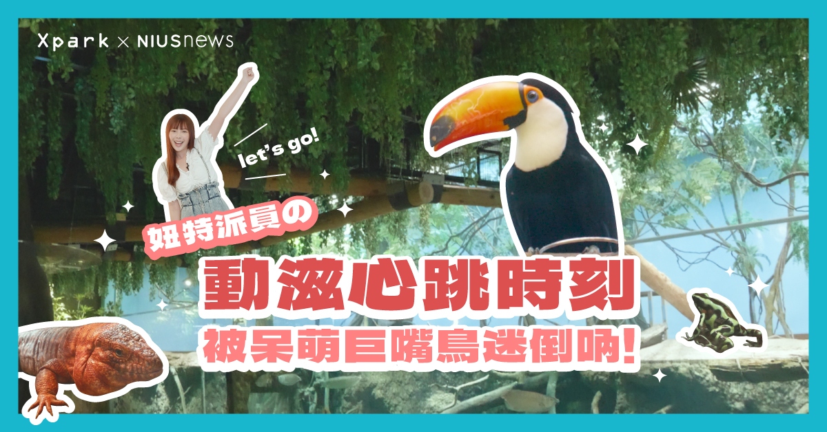 全台最美水族館Xpark！超萌巨嘴鳥初登場，連特派員Zuzu都被迷倒啦！ Xpark、桃園、水族館、療癒、可愛、外出、放鬆