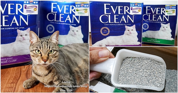 Ever Clean 藍鑽超凝結貓砂強效清香/低敏使用心得-貓砂界 LV低粉塵 貓砂、貓砂推薦、藍鑽、藍鑽貓砂、低粉塵、凝結力佳