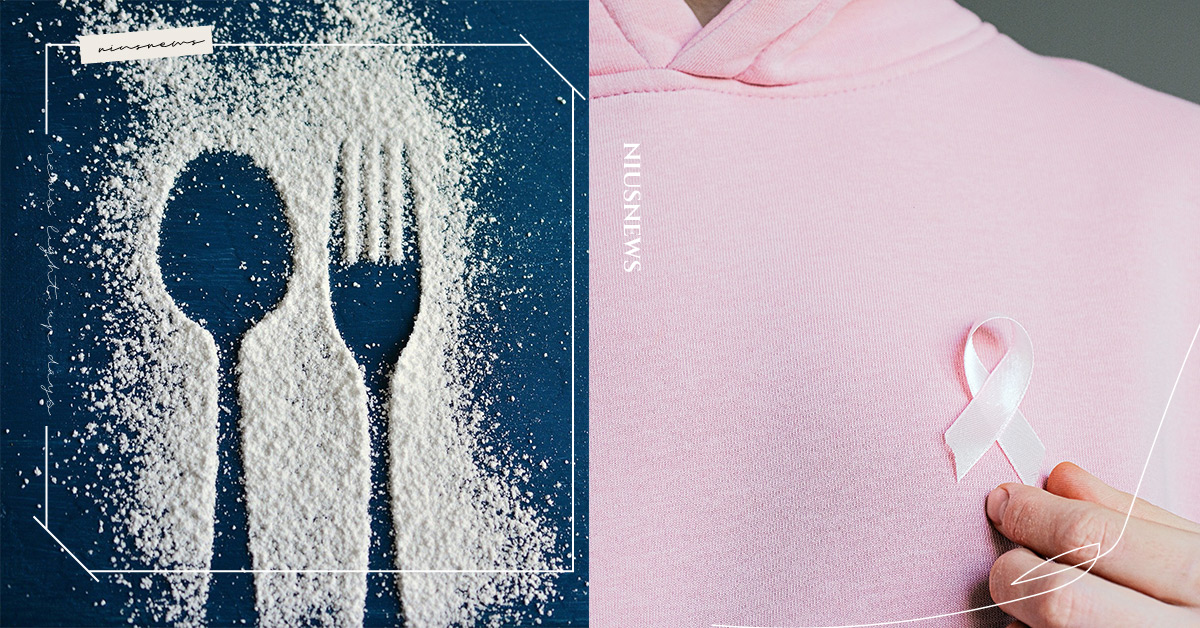 乳癌年輕化，每37分鐘就1位確診！5招聰明飲食遠離肥胖、吃出抗癌力 乳癌、飲食、預防、高纖、三高、肥胖
