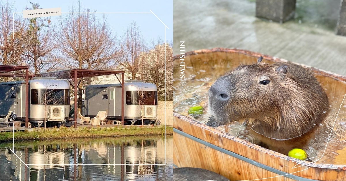 宜蘭6間「豪華露營車」推薦！園區有可愛「水豚」太療癒、在車內躺著賞絕美星空 宜蘭、宜蘭住宿、宜蘭露營車、露營車、水豚、綠舞國際觀光飯店、礁溪老爺酒店、天ㄟ露營車、自然捲北歐風格旅店、工匠家小木屋民宿、那山那谷休閒農場、愛玩妞口袋清單