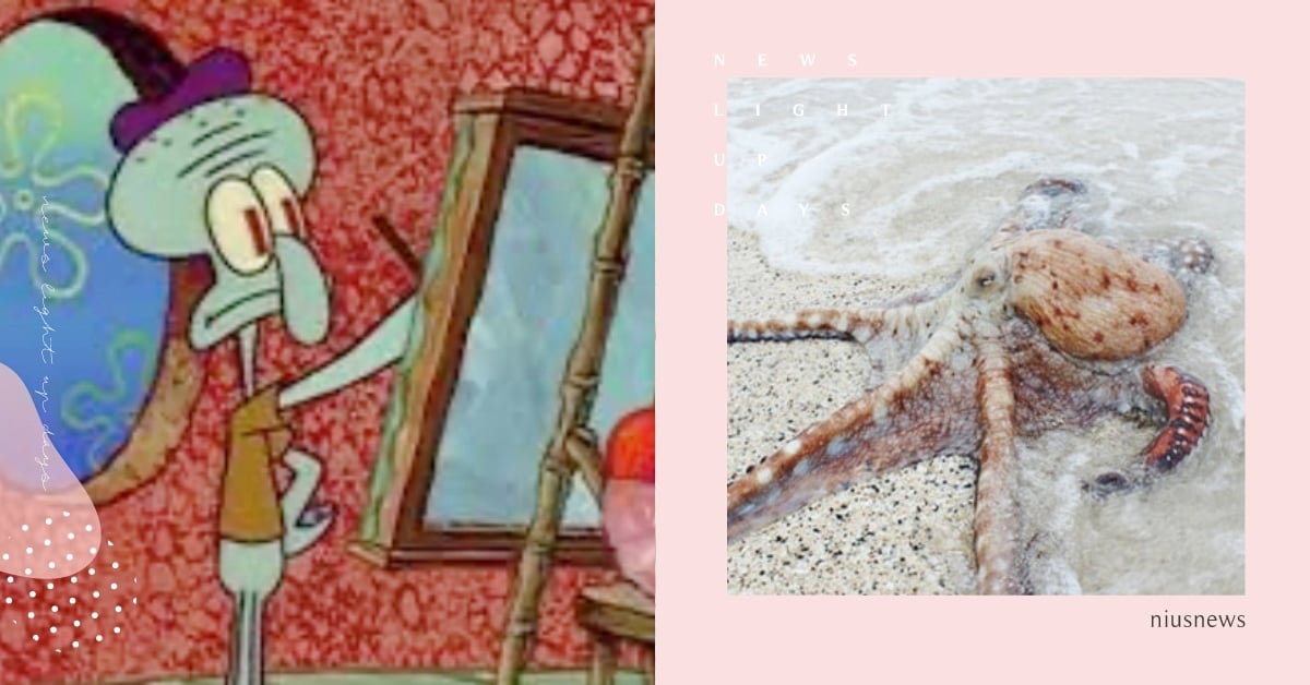 不只會預測大選！動物界藝術家「章魚」獨特氣質大公開，原來《海綿寶寶》是真的？ 動物冷知識、章魚、海綿寶寶、動物、動物趣聞、動物知識、章魚哥、藝術、美學、審美、藝術家、動物界藝術家、神奇動物