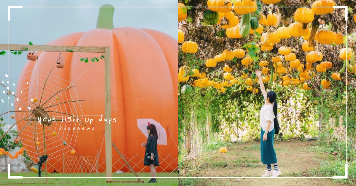 2021萬聖節必拍「桃園南瓜節」！巨型南瓜和隧道都超殺底片，週末還有超好玩DIY 2021、萬聖節、桃園觀音萬聖南瓜節、南瓜隧道、巨型南瓜、桃園景點、萬聖節景點