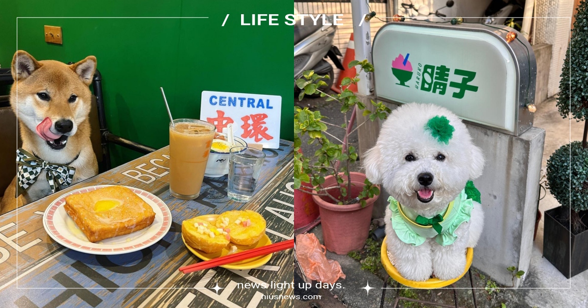 2023新北12間「寵物友善餐廳」推薦！板橋超夯港式茶餐廳、昭和日式冰店全上榜！ 寵物友善、寵物餐廳、寵物友善餐廳、新北寵物友善餐廳、鮮食、寵物餐、寵物友善景點、寵物出去玩